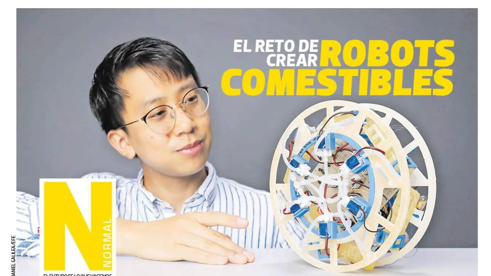 robots comestibles SITIO1